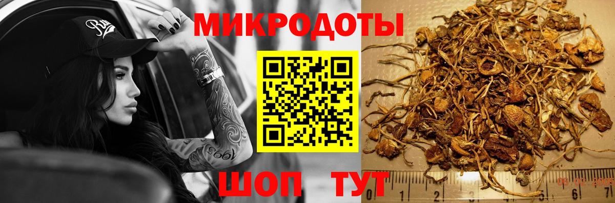 Псилоцибиновые грибы Cubensis  Вход с VPN  Калач-на-Дону  Псилоцибиновые грибы мицелий 